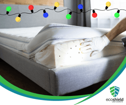 Bed Bug Holidays Blog